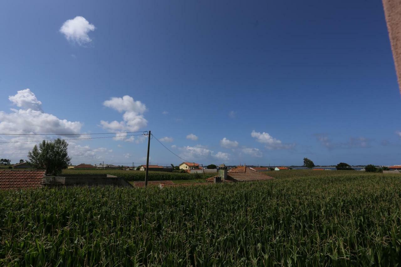 Ria De Aveiro White House Villa Murtosa Luaran gambar